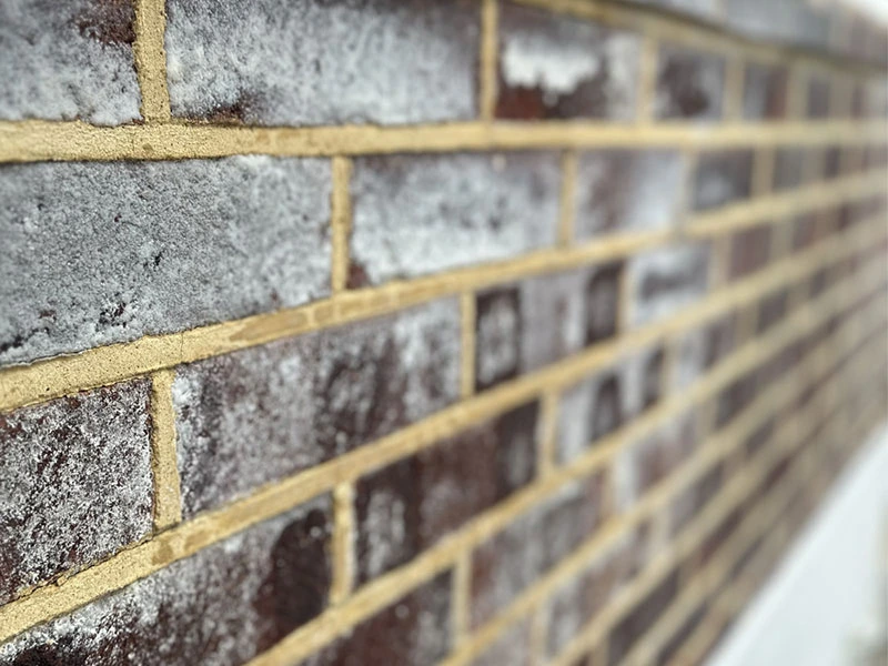 Eco Damp Solutions: Masonry Creme