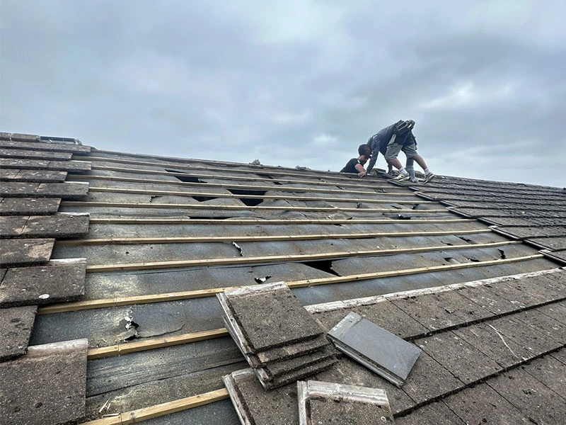 Eco Damp Solutions: Roof Replacements