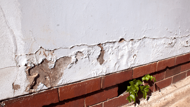 Damp Proof Course Failure: Warning Signs and Solutions